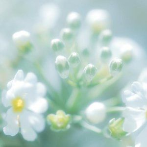 Meet your Posher, Summer